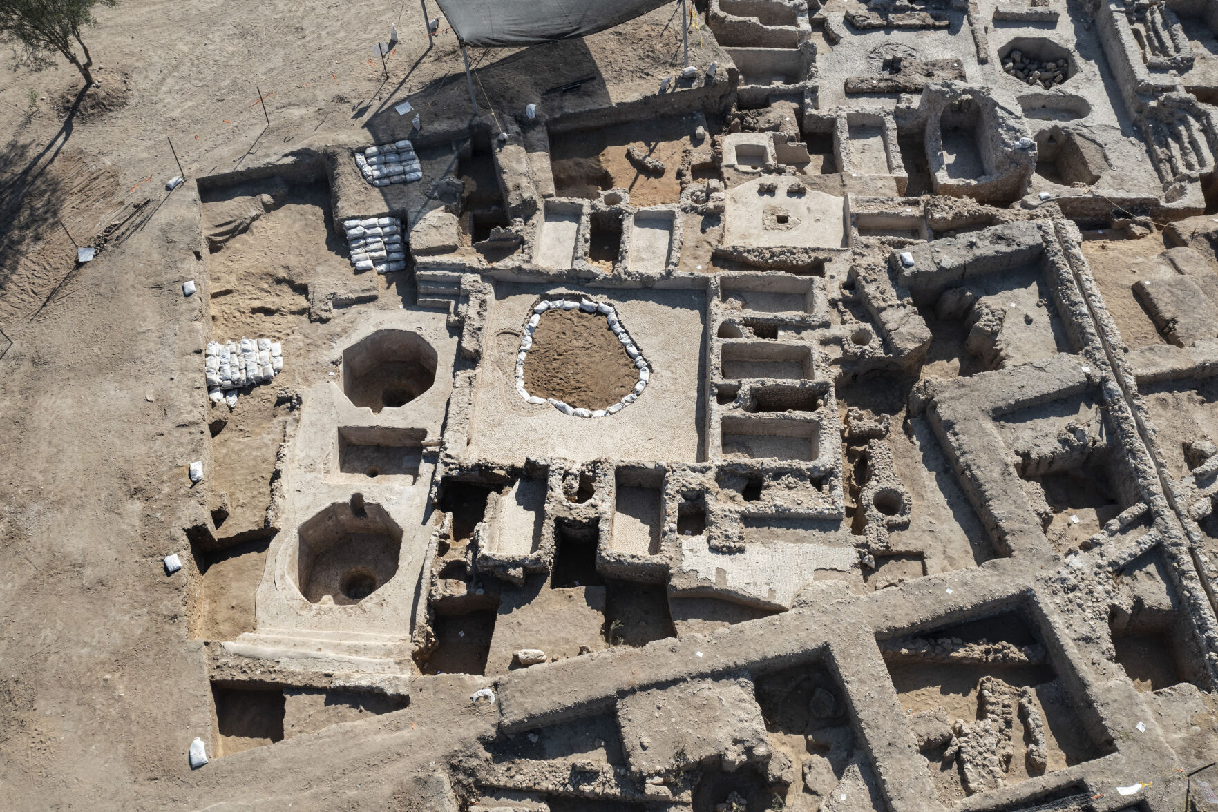 Israel Ancient Wine